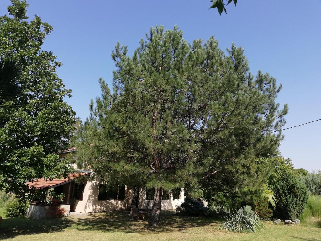 Fotografija v galeriji nastanitve Vila Timok v mestu Zaječar