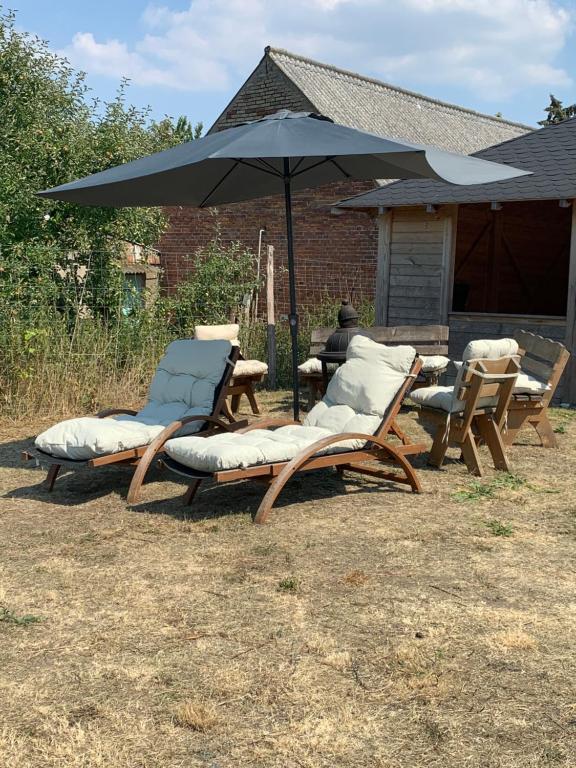 a group of chairs and an umbrella in a yard at Apfelhof Biesenbrow in Biesenbrow