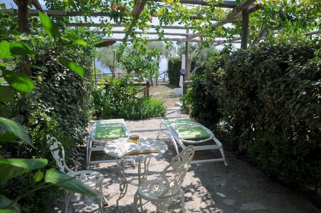 Zahrada ubytování Hotel Dimora Fornillo