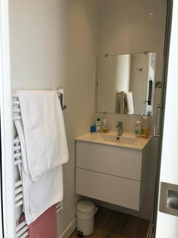 Koupelna v ubytování Studio Duplex Bénodet