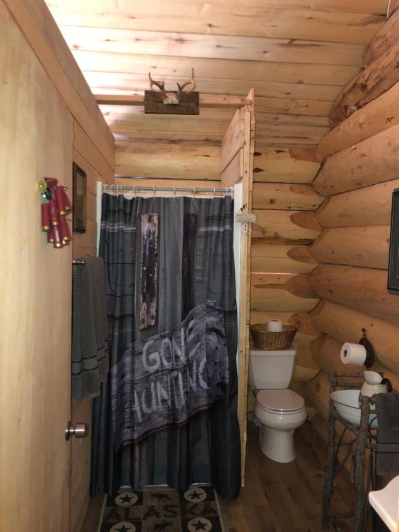 Koupelna v ubytování Wrangell Mountain Lodge- Private Bathroom with shower