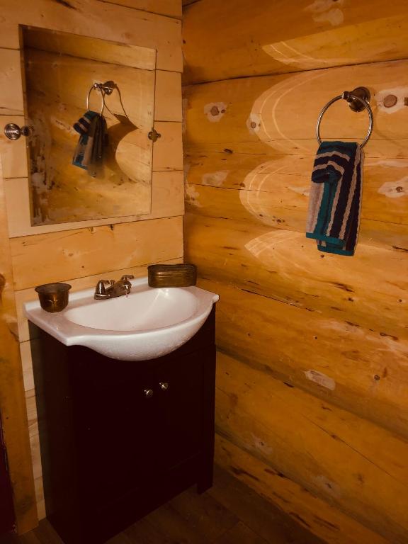 Koupelna v ubytování Wrangell Mountain Lodge- Private Bathroom with shower
