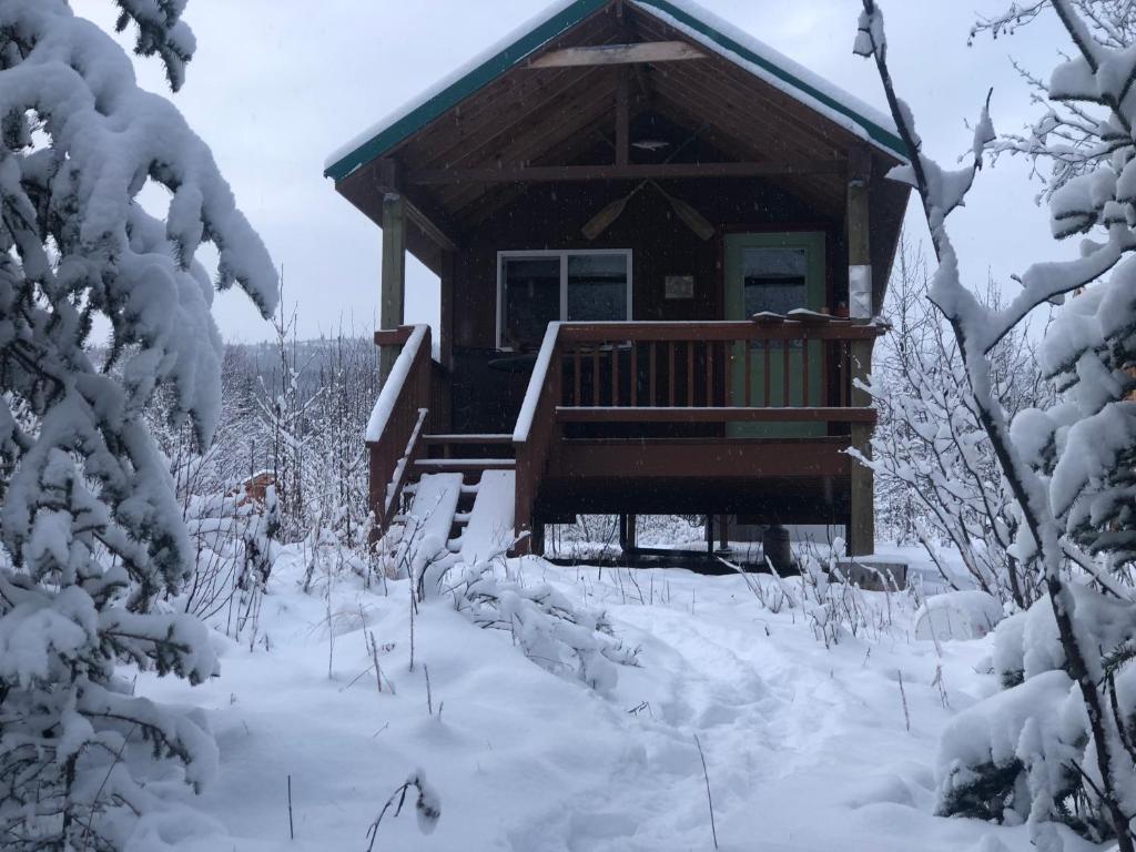 Wrangell Mountain Lodge- Private Bathroom with shower v zimě