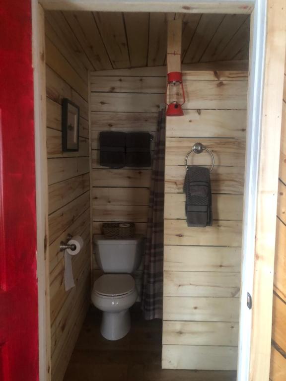 Koupelna v ubytování Wrangell Mountain Lodge- Private Bathroom with shower