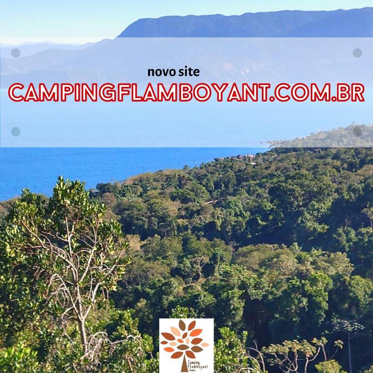  Camping Flamboyant