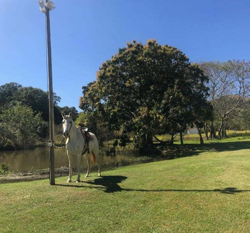  Paraíso Capitólio Suítes Pousada