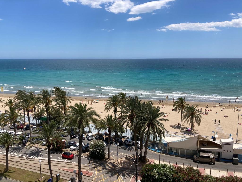 vistas a una playa con palmeras y al océano en Ático Loft en frente al mar terraza vista espectacular, en Alicante