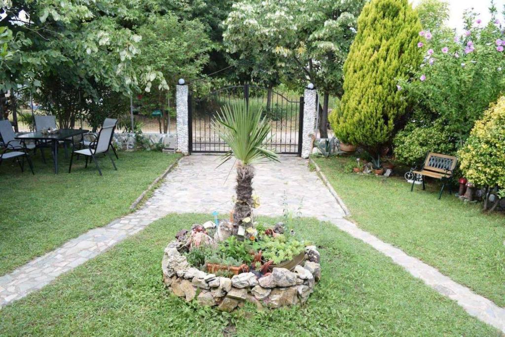 einen Garten mit einer Palme im Gras in der Unterkunft Garden's Villa in Leptokaryá