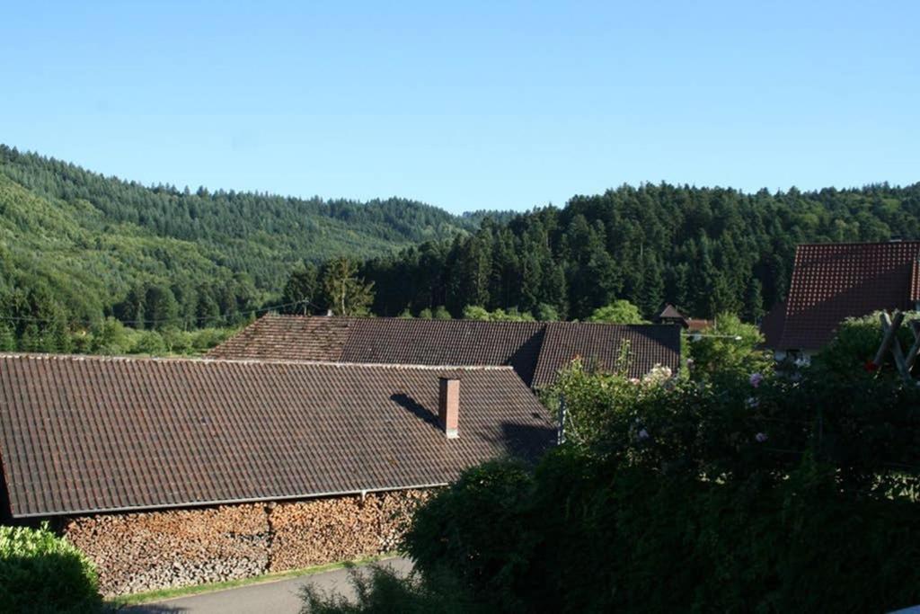 Příroda nedaleko apartmánu