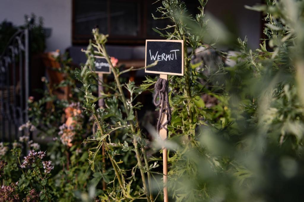 Zahrada ubytování Flora - Das kleine Gartenhotel