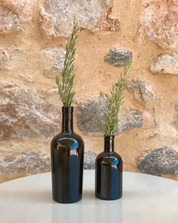 Fotografie z fotogalerie ubytování Selinitsa Residence Mani v destinaci Agios Nikolaos