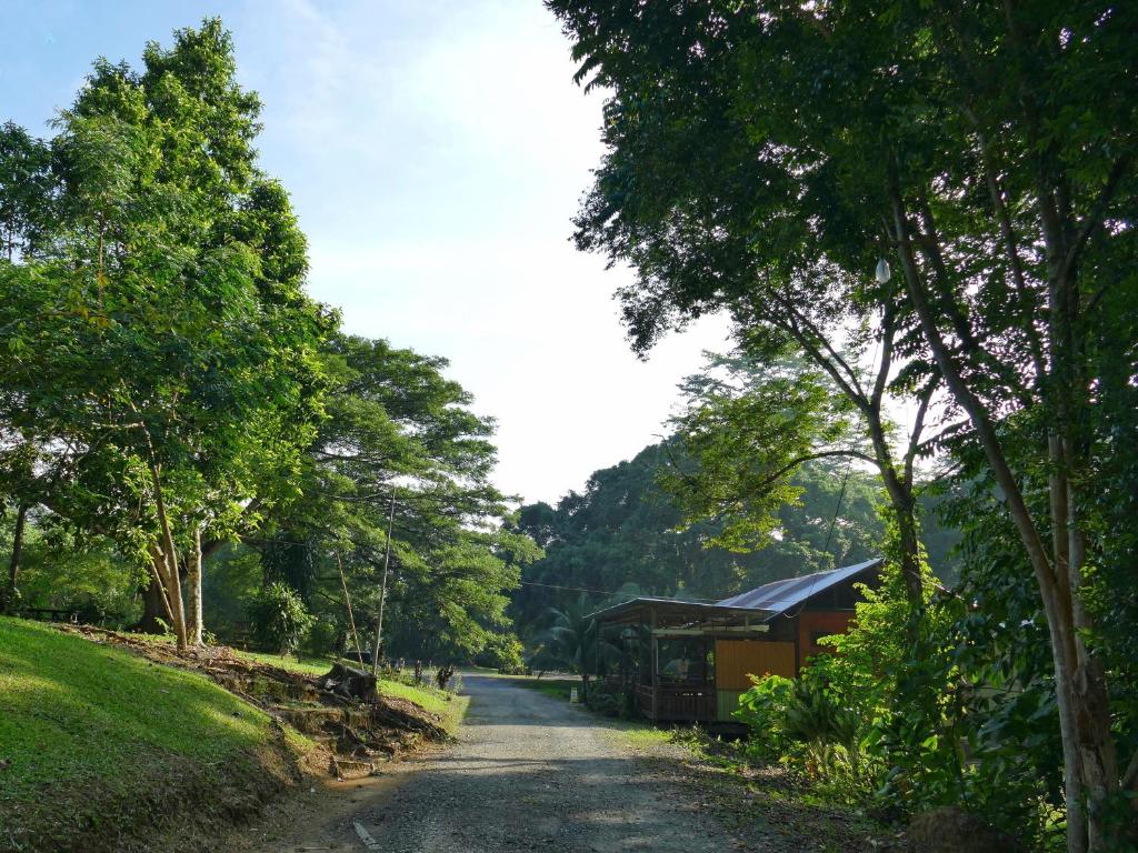 a dirt road with a building and trees on the side at Sepilok B&B in Sepilok