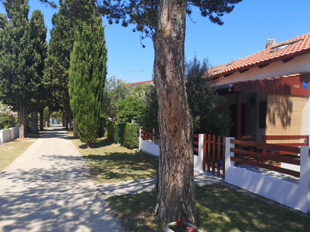 Fotografie z fotogalerie ubytování Queen beach apartments Nin Sabunike - Green street I v destinaci Nin