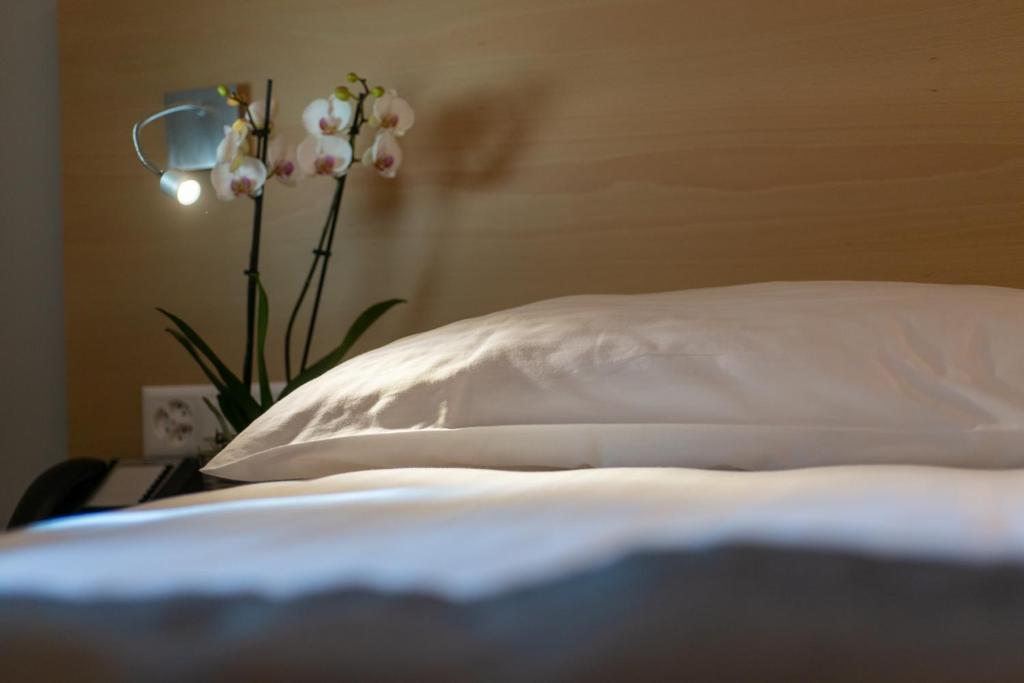 Hotel des Alpes - Resim 10