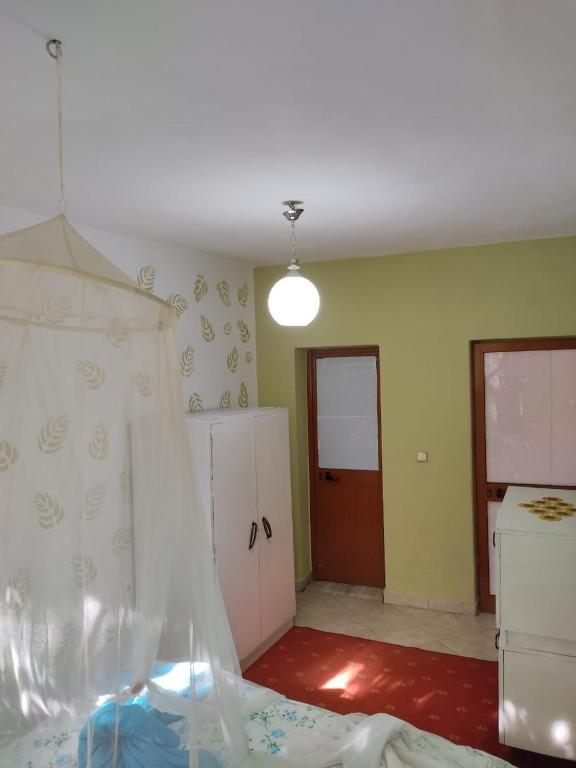 Private Apartment Elbasan Historic Center - Imazhi 10