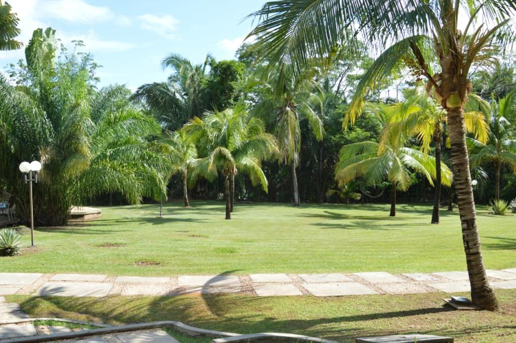  Odara Araguaia