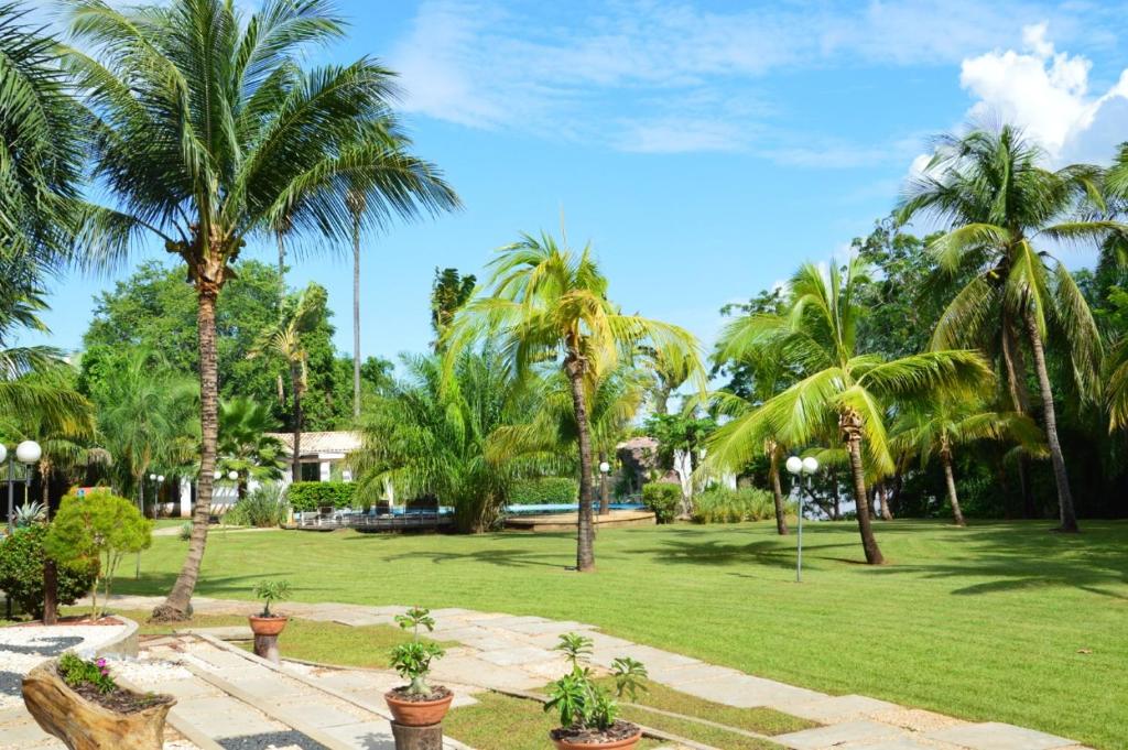  Odara Araguaia