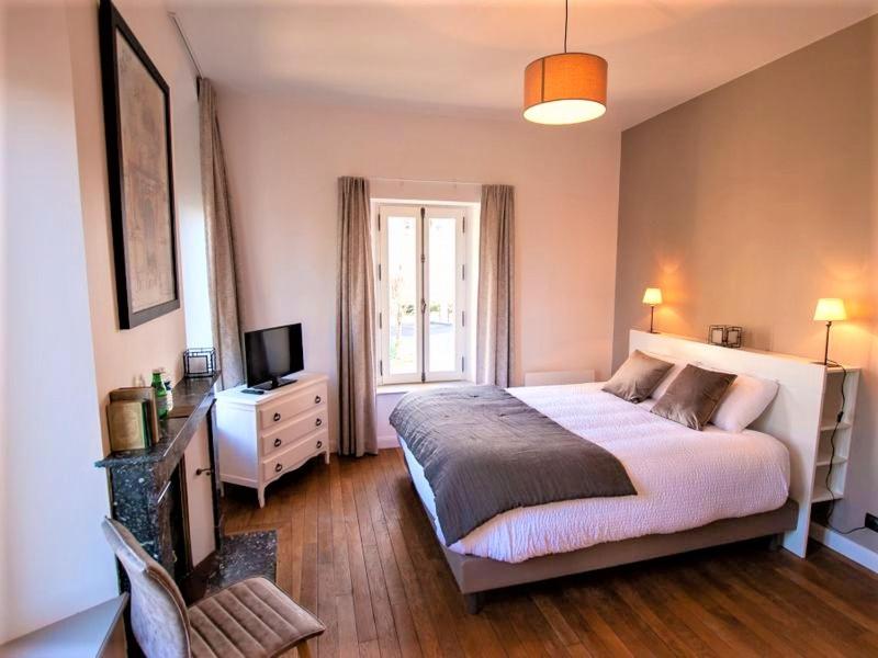 a bedroom with a large bed and a television at LA GOUTTE D'OR in Avize