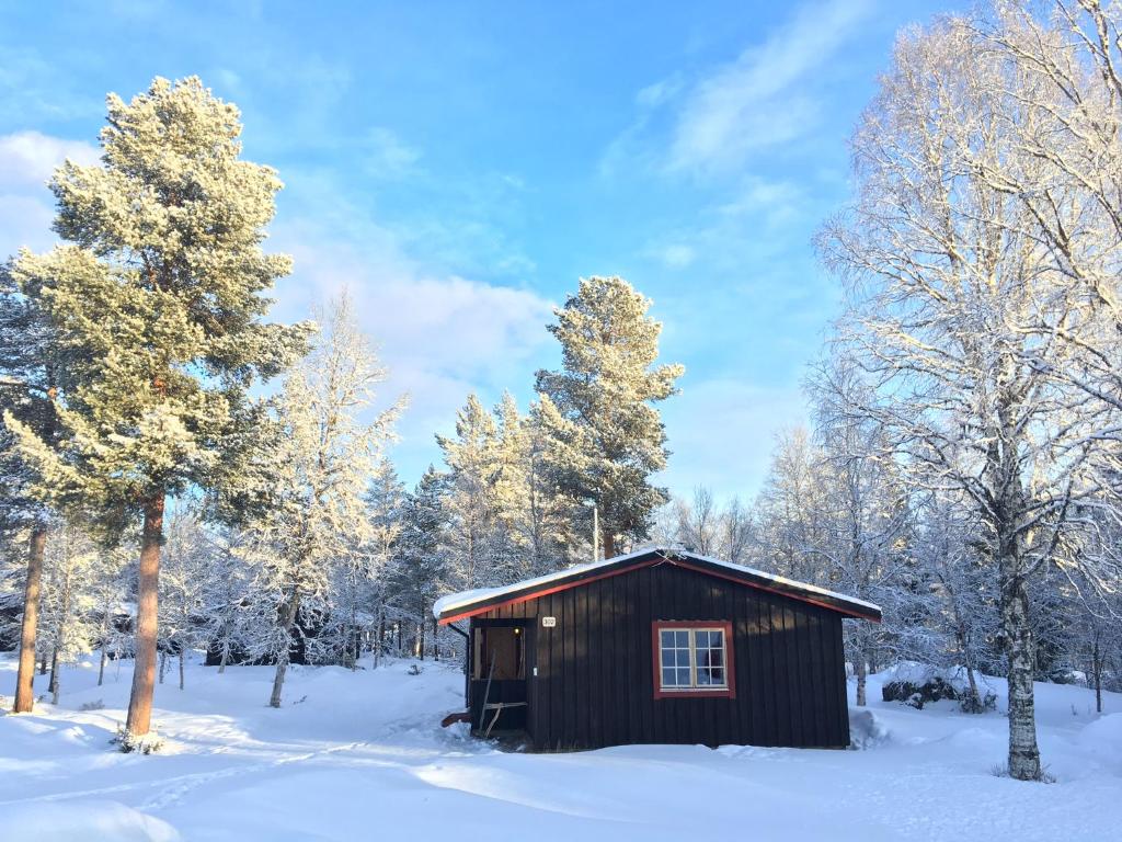 une petite cabine dans la neige avec des arbres dans l'établissement Sörmons Stugby, à Ljusnedal