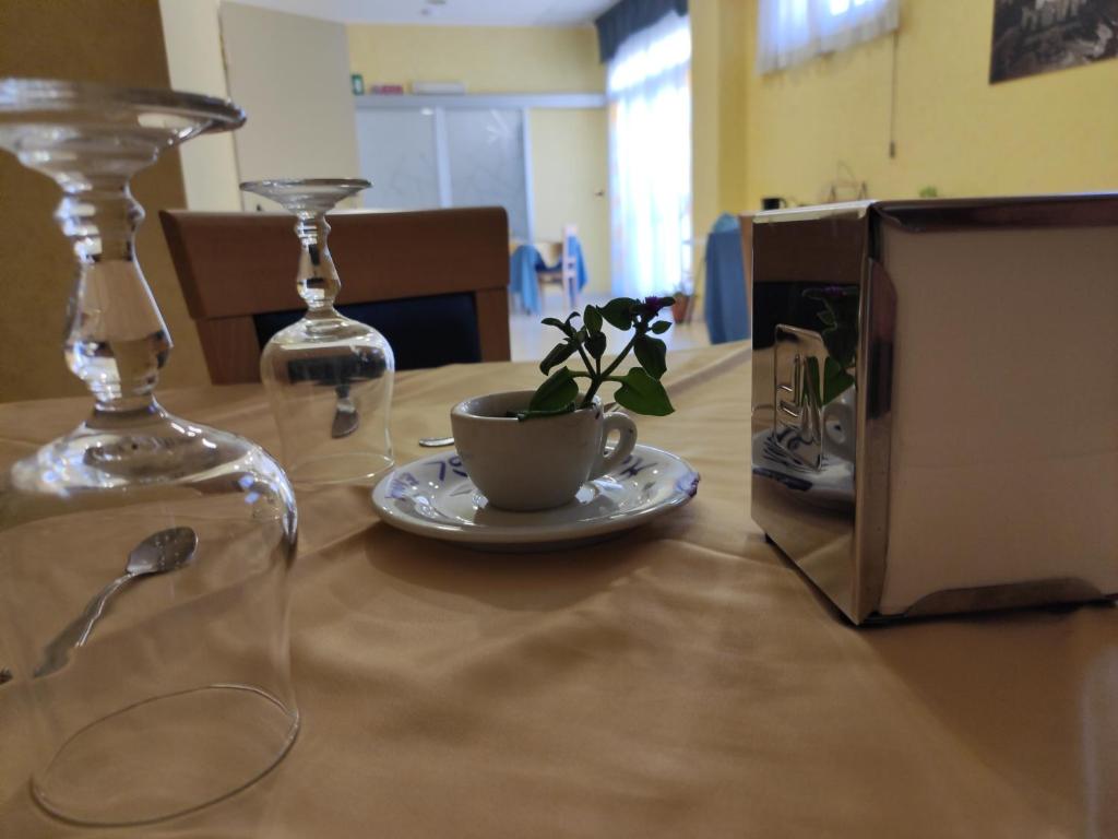 Kuchyň nebo kuchyňský kout v ubytování Hotel Bristol