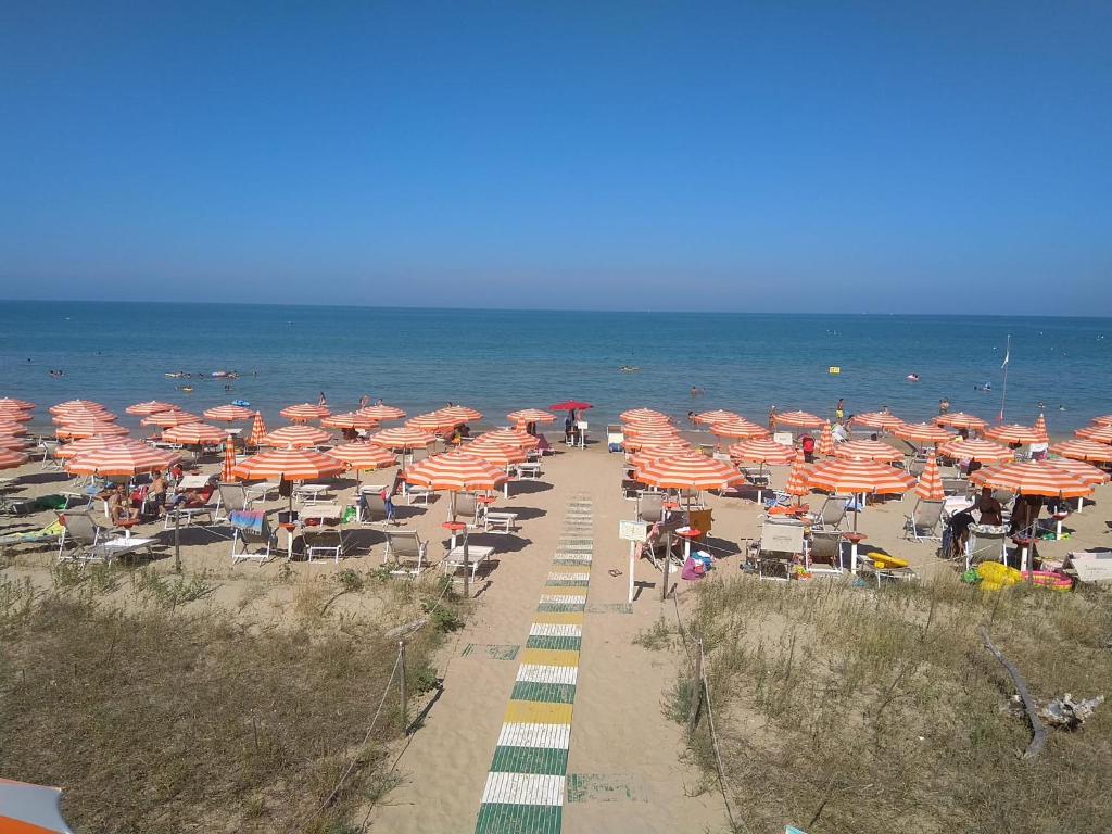 Příroda nedaleko hotelu