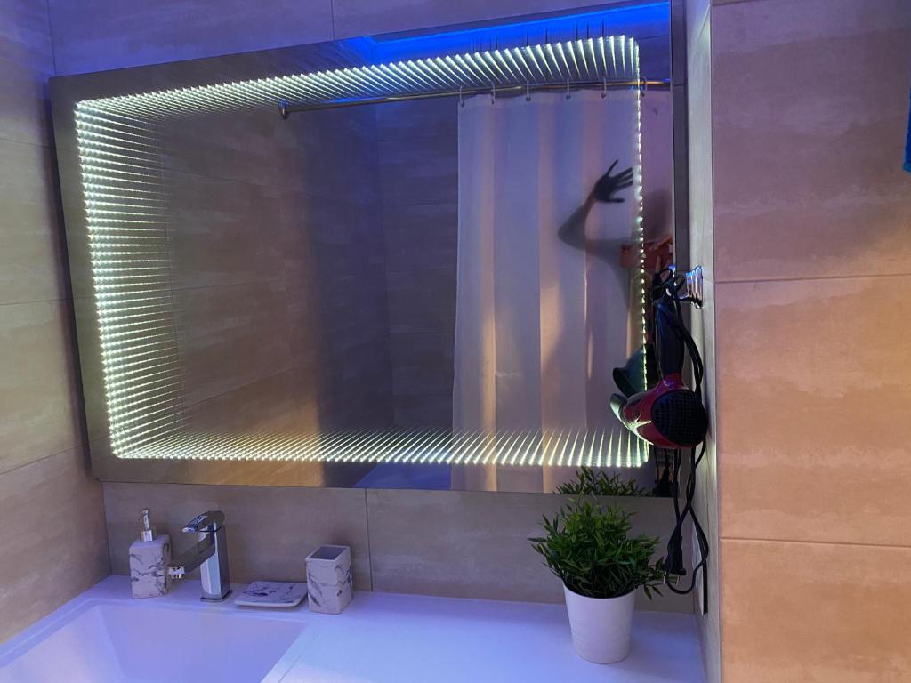 リュベルツィにあるОтличная квартираのバスルーム(植物付きの洗面台の上に鏡付)