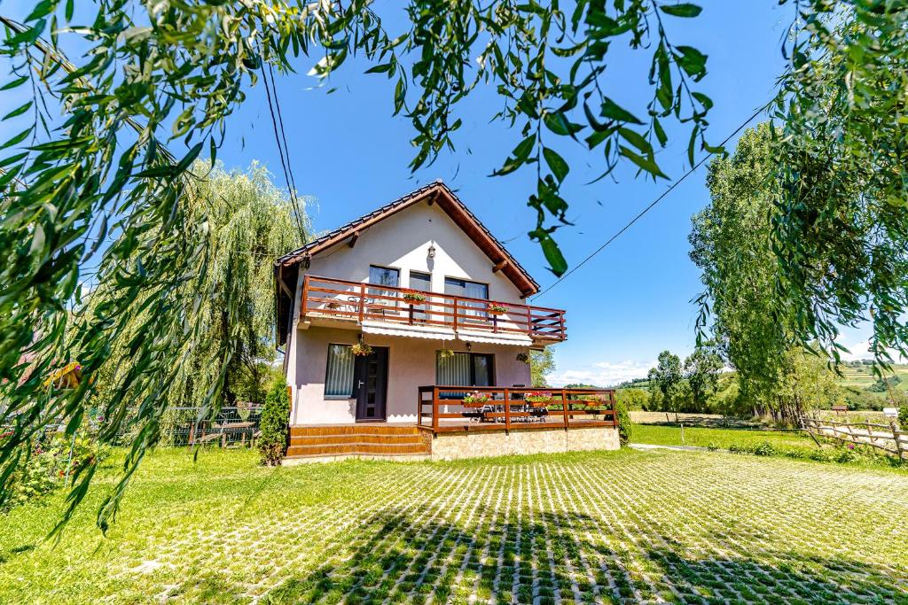 a house in the middle of a yard at Casa Nitu in Întorsura Buzăului