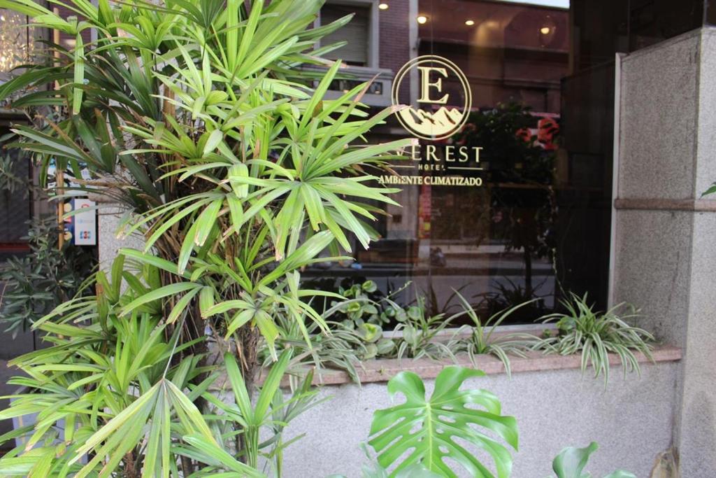 un grupo de plantas frente a una tienda en Hotel Everest en Córdoba