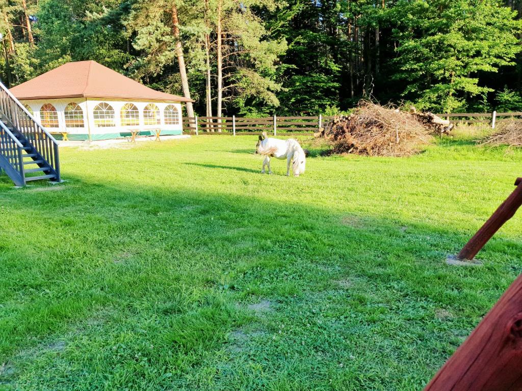 Zahrada ubytování Zajazd Gawrysiówka
