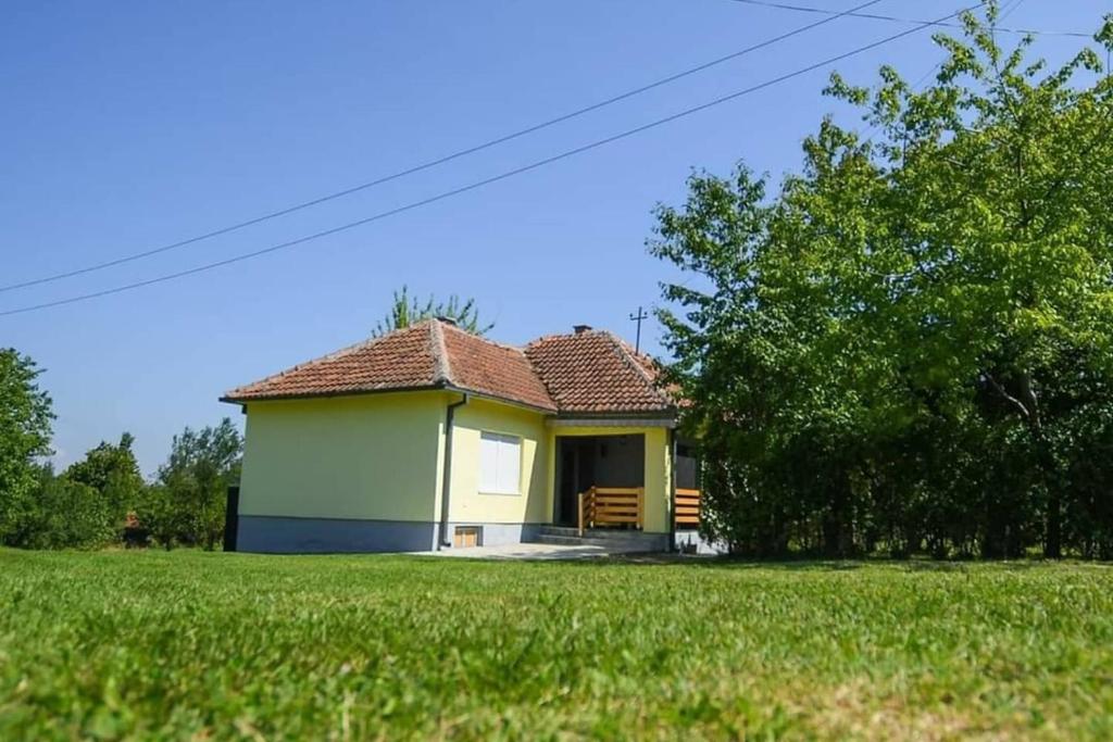 una pequeña casa amarilla en un campo de hierba en Seoska kuca Stojanović en Kladovo