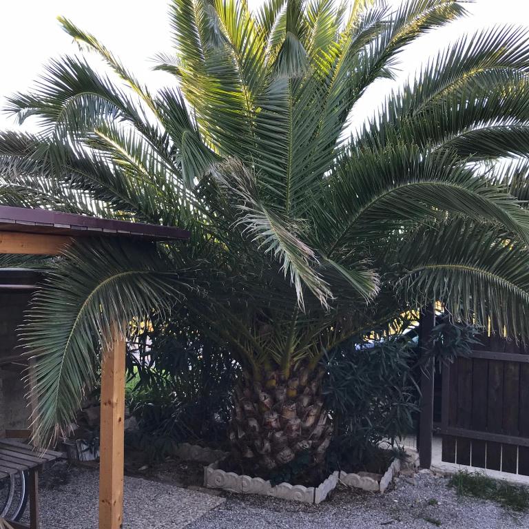 Kép Casetta alla Caduta szállásáról San Vincenzóban a galériában