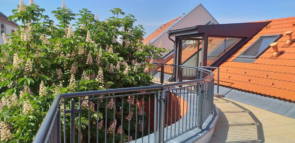 Balkón nebo terasa v ubytování Piacsek Apartmanház