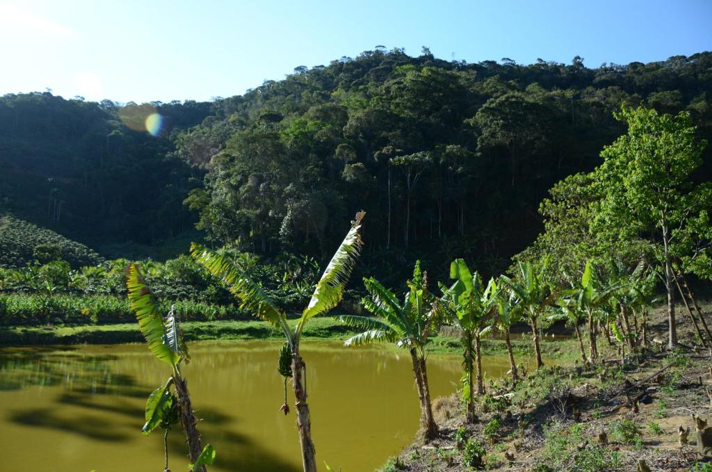  Pousada Recanto Primata