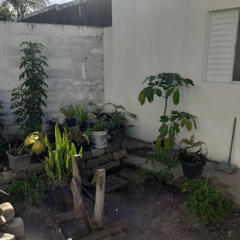  Suítes do Denis
