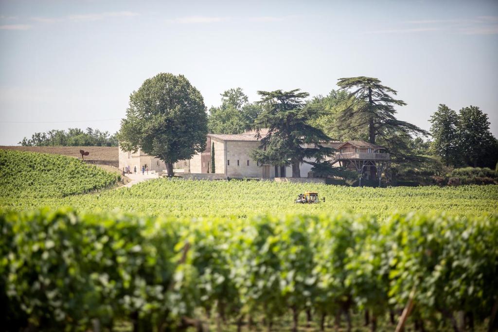 a field of green crops with a house in the background at Le Relais de Franc Mayne Saint Emilion in Saint-Émilion
