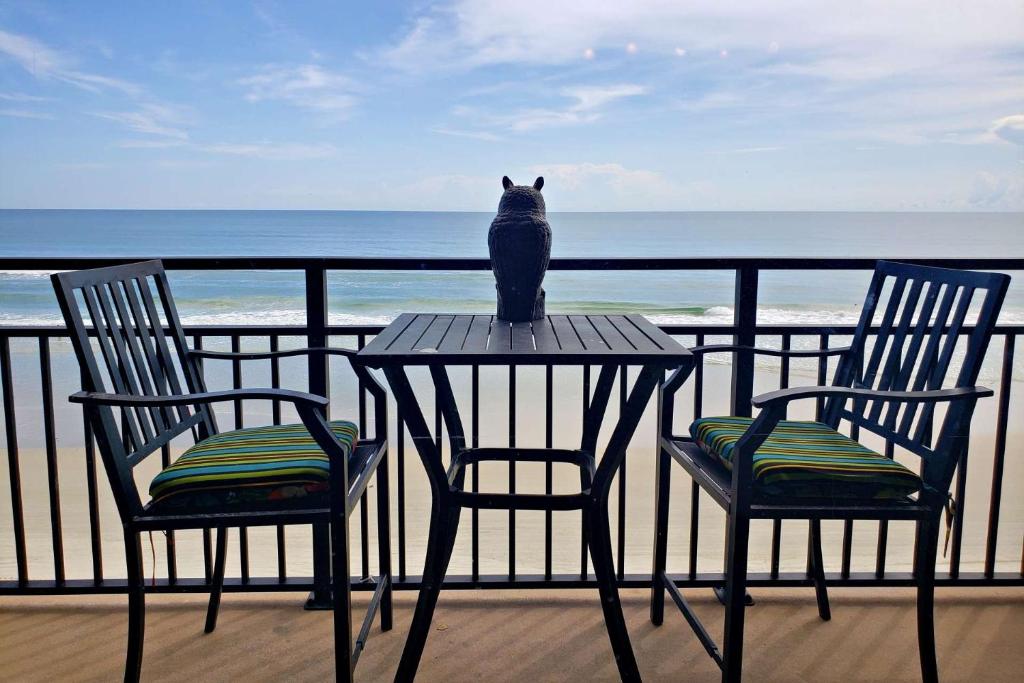 un chat assis au-dessus d'une table sur un balcon dans l'établissement Beach Condo Unit #435, à Daytona Beach Shores