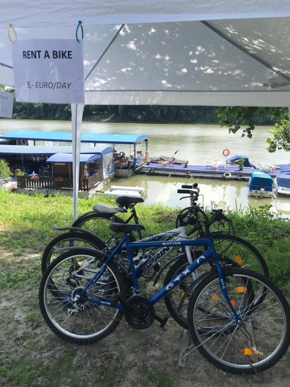 dwa rowery zaparkowane obok znaku nad rzeką w obiekcie Tisza-beach wild camping4 w Segedynie