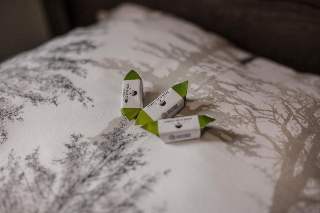 Hostel pod Cisem - 13