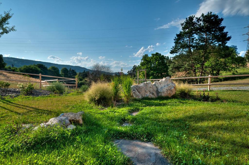 a field with a rock in the grass at Statek Samsara in Blansko