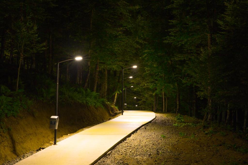 Fotografie z fotogalerie ubytování Crystal Residence v destinaci Bakuriani