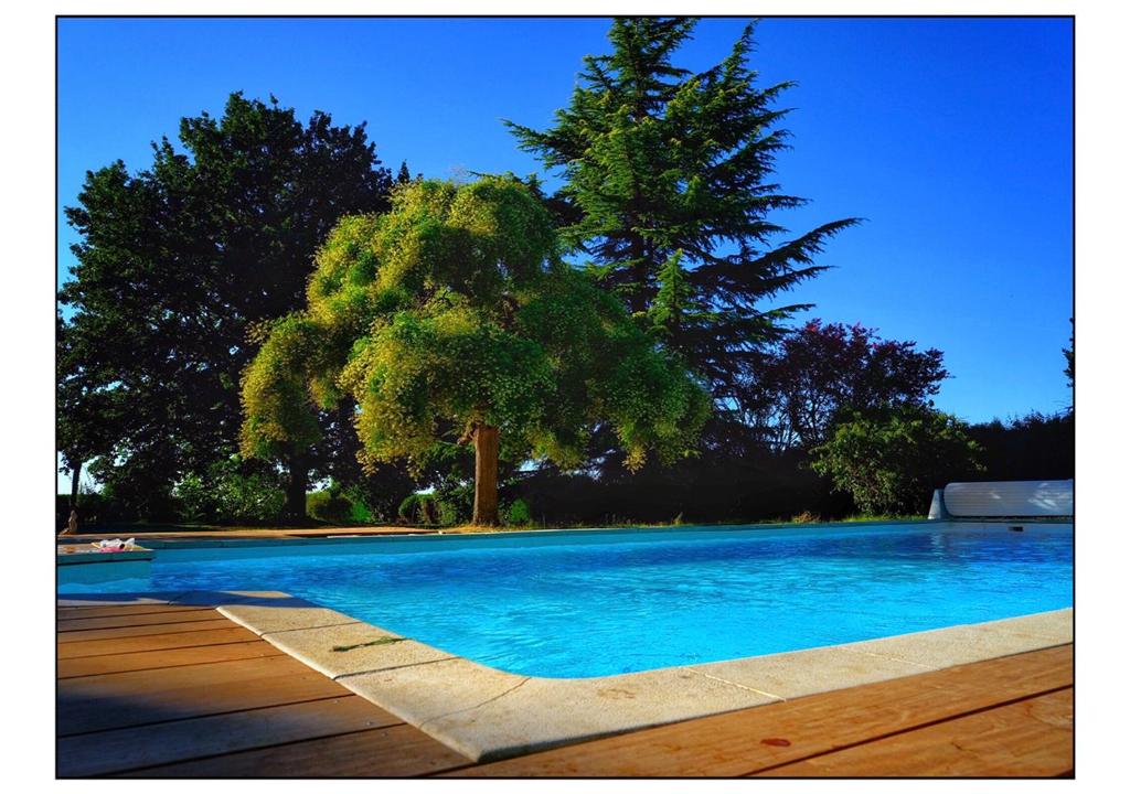 una gran piscina con un árbol en el fondo en Domaine Cassevinha, en Gauriac