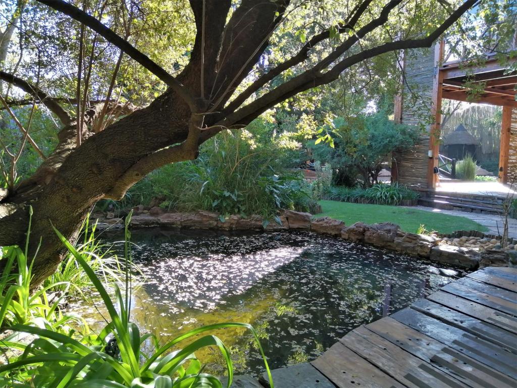 Zahrada ubytování Ikamu's lodge