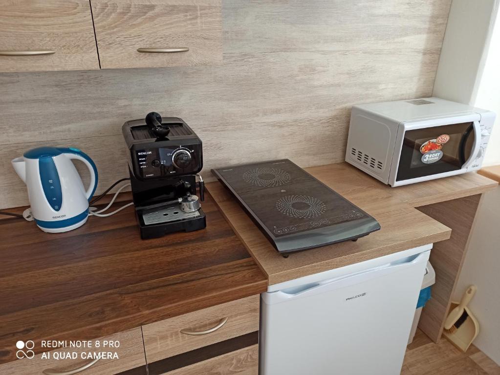 Kuchyň nebo kuchyňský kout v ubytování Apartmán BON
