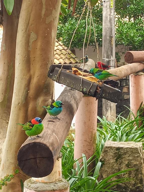  Suites Brilho do Sol