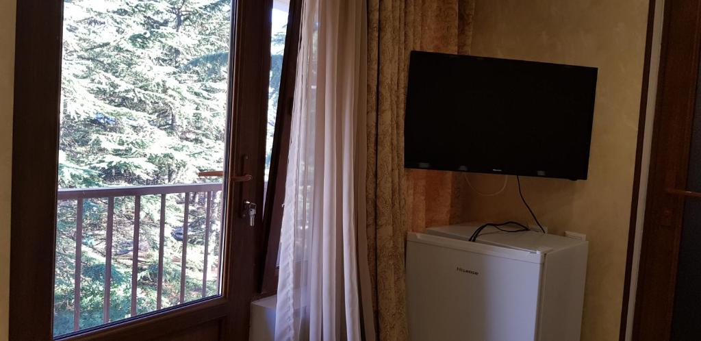 Televiisor ja/või meelelahutuskeskus majutusasutuses Ruzan hotel