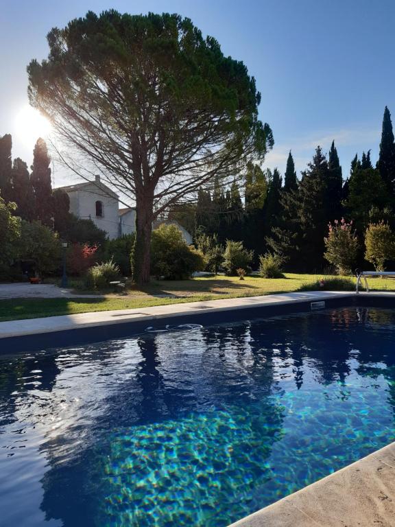 uma piscina com uma árvore ao fundo em REMY A DIT em Saint-Rémy-de-Provence