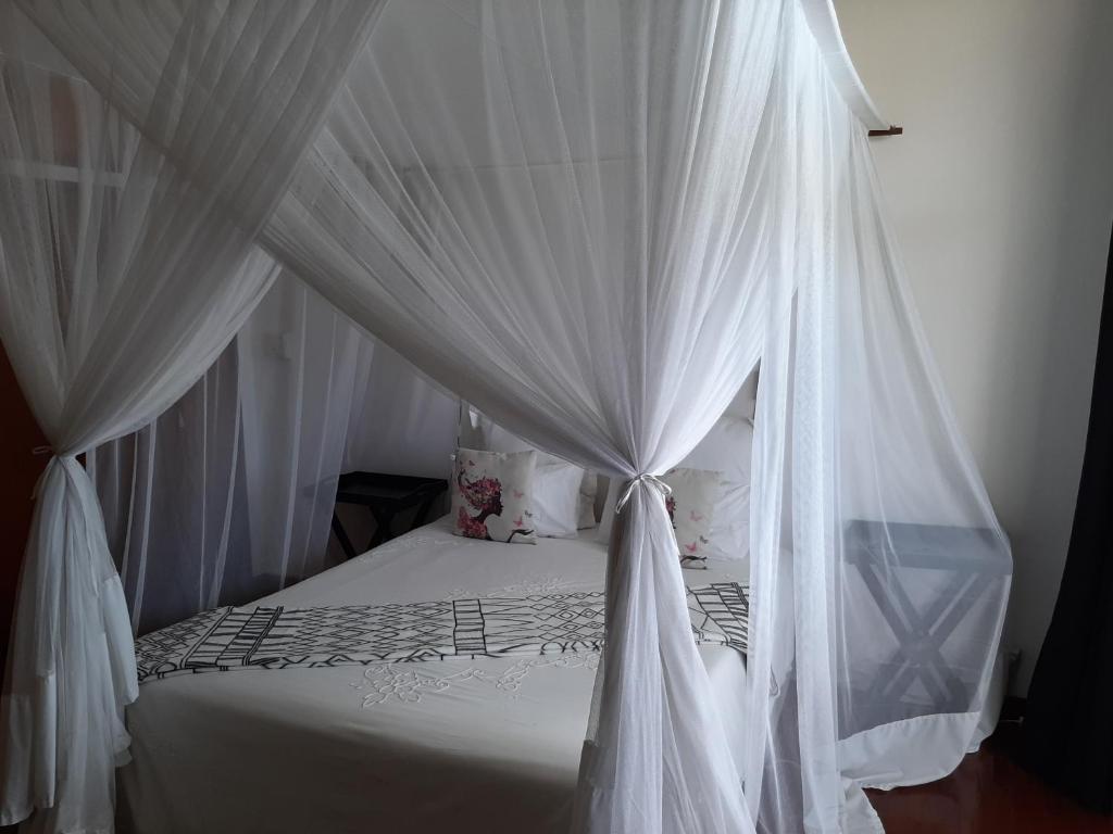 Postel nebo postele na pokoji v ubytování FIGTREE GUESTHOUSE