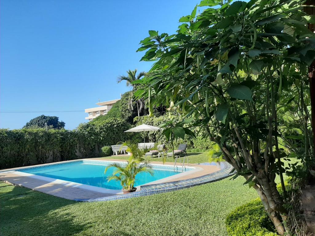 Bazén v ubytování FIGTREE GUESTHOUSE nebo v jeho okolí