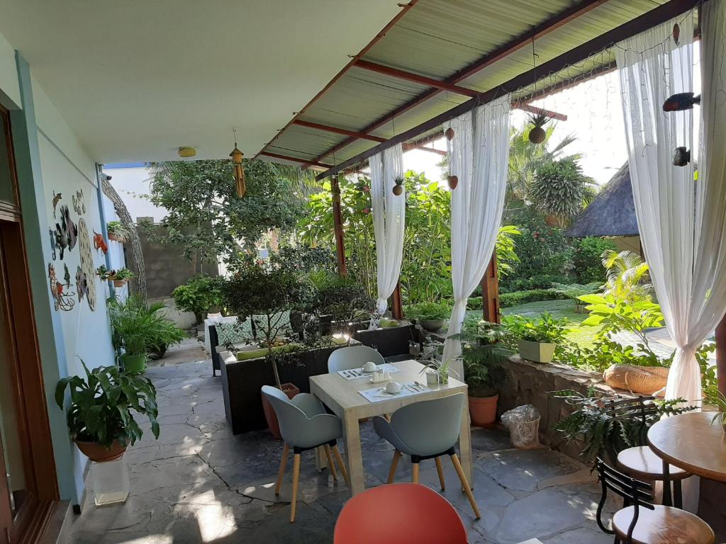 Zahrada ubytování FIGTREE GUESTHOUSE