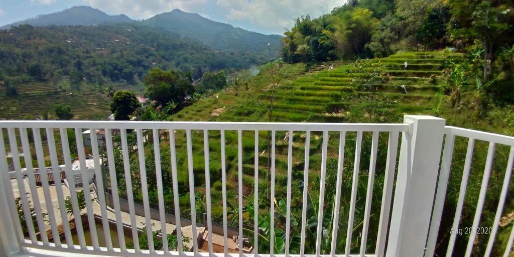 Rumah Kina Putih - 